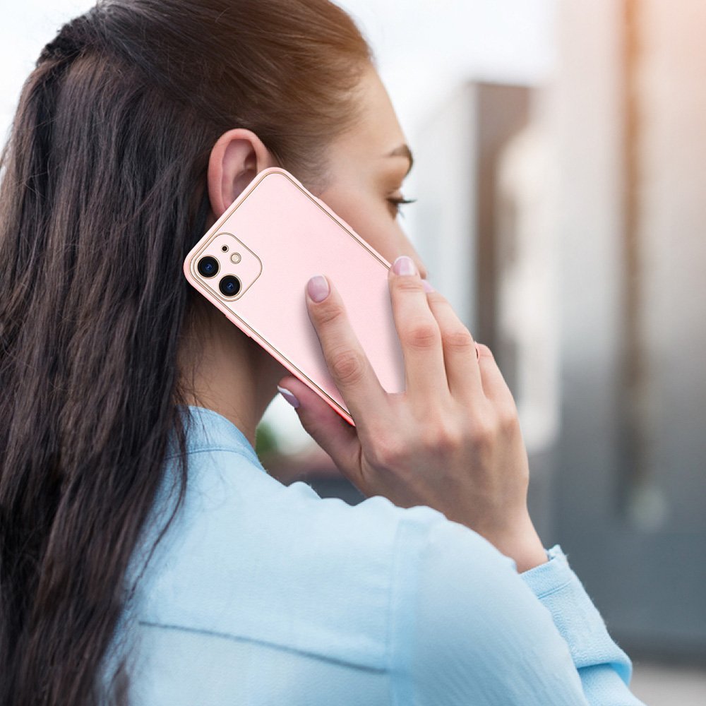 Dux Ducis Case iPhone 12 mini